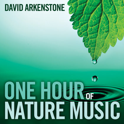 David Arkenstone: One Hour Of Nature Music